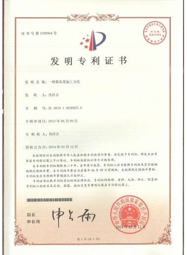 专利ZL201310230957号