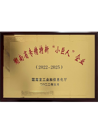 湖南省专精特新“小巨人”企业