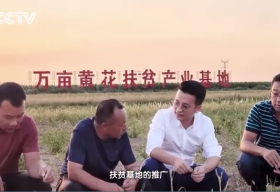 k8凯发(中国)天生赢家·一触即发